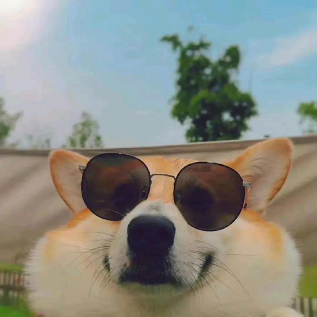 娃哈哈哈哈哈哈