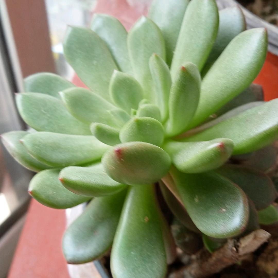 珍惜。