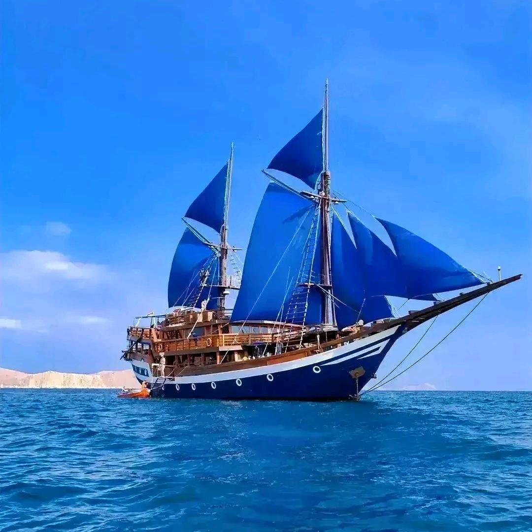 遇鋭基∥音乐与我同行🎶