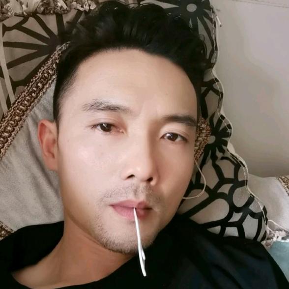喜莱登8699688