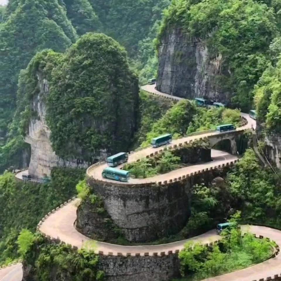 为你而努力