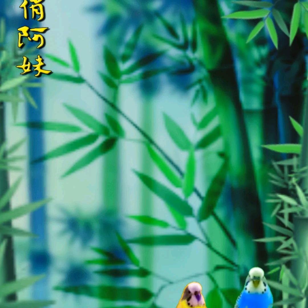 东冬哥