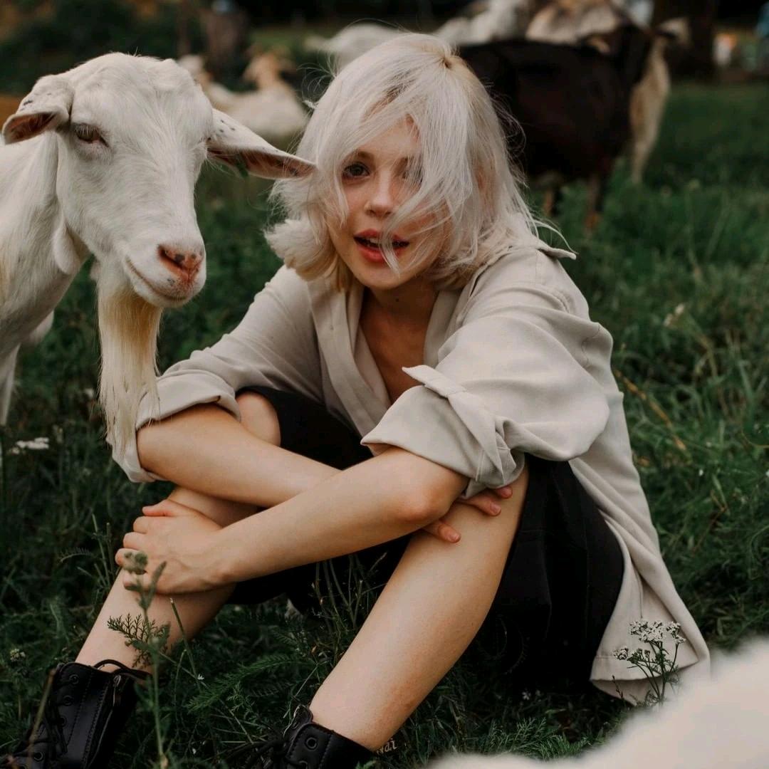 𝐌𝐔-艺术收藏家