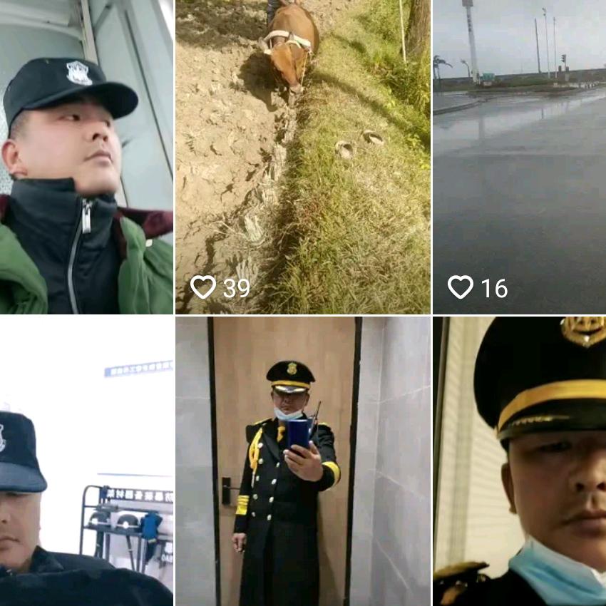 陈四爷