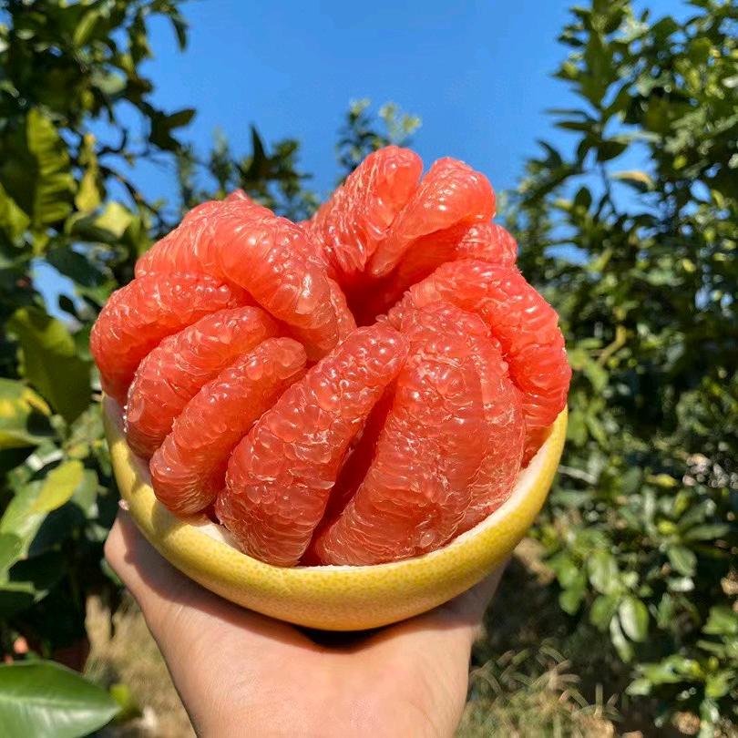 米西果水果蔬菜