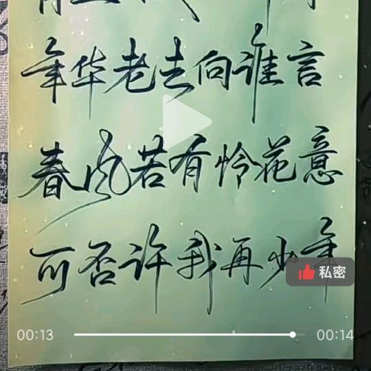 狂野木兰