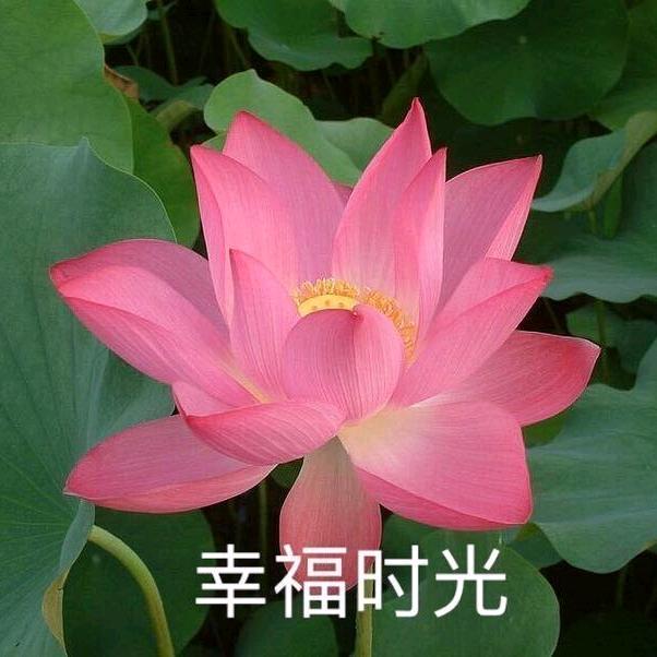 防/