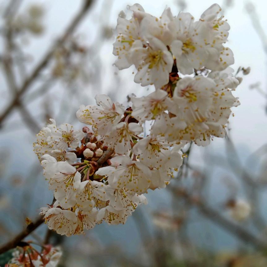 💘梦想与现实✨