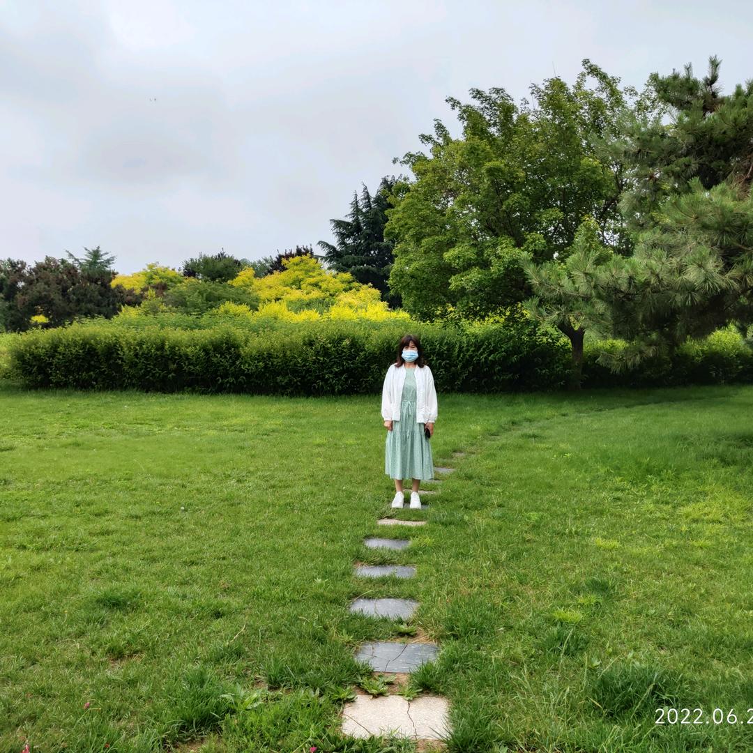 吉祥如意的燕子