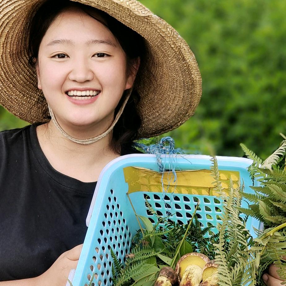 丛林深处野生菌