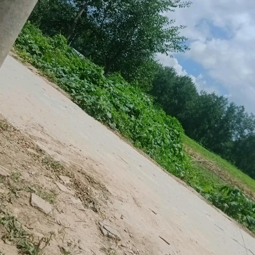马建