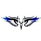 🎣T·Y·阿柒🇨🇳