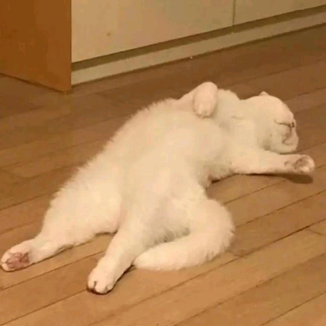 歪比巴卜咕噜噜