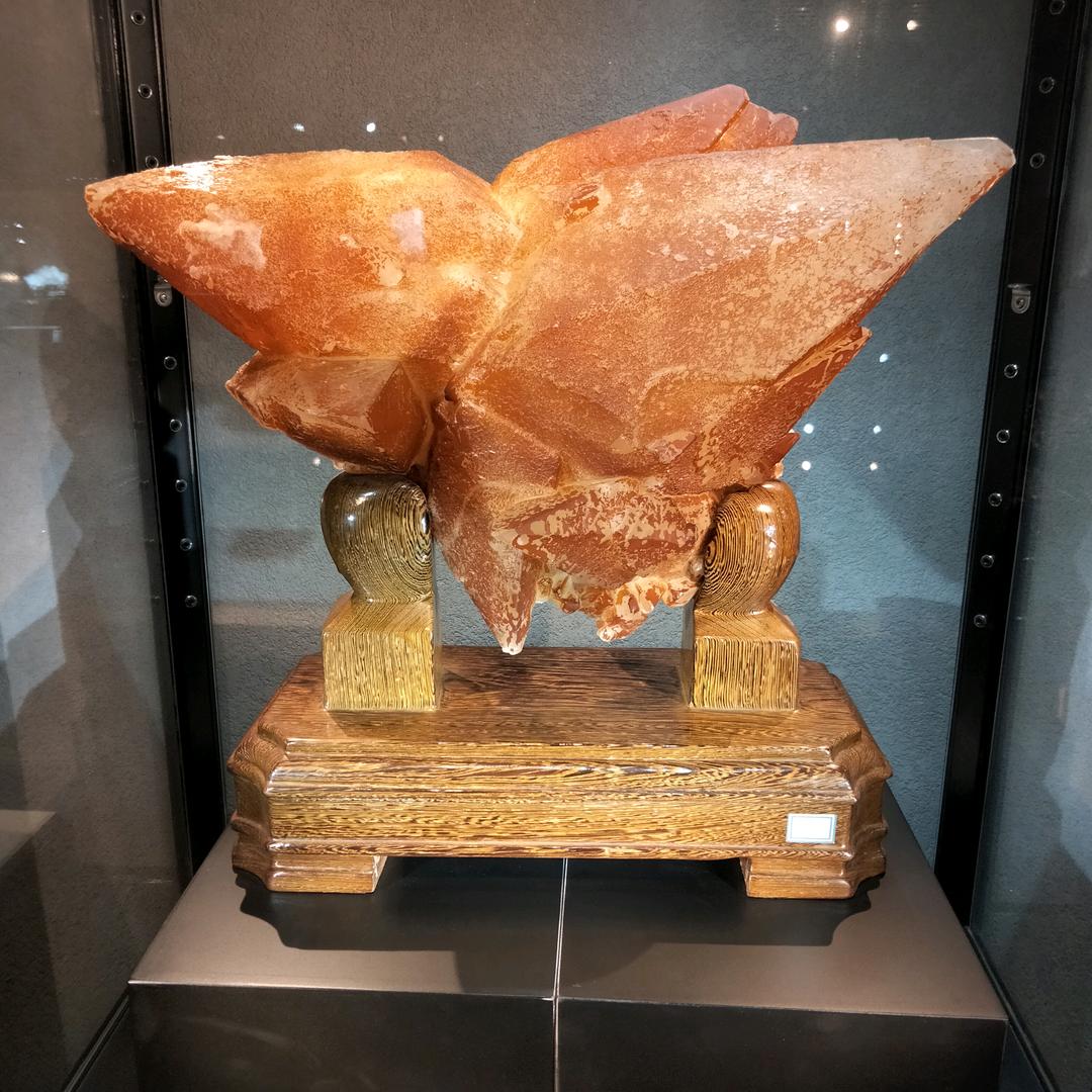 🌴🌴🌴代前宏