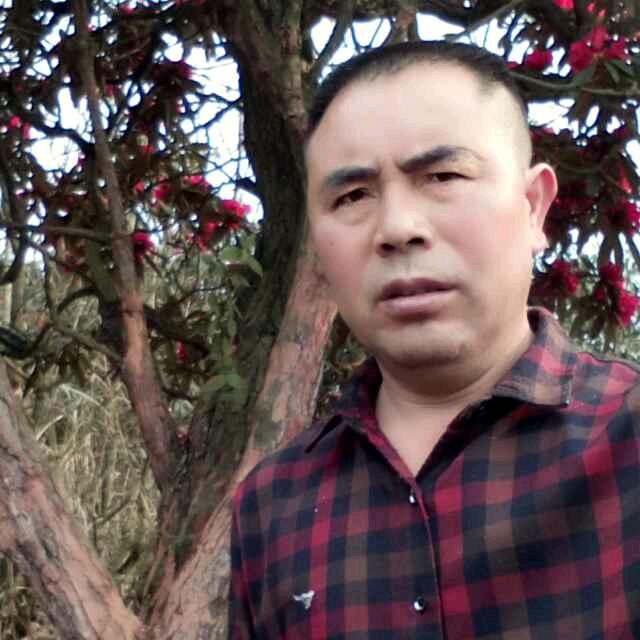 专业粘铺墙地砖，郭师傅。