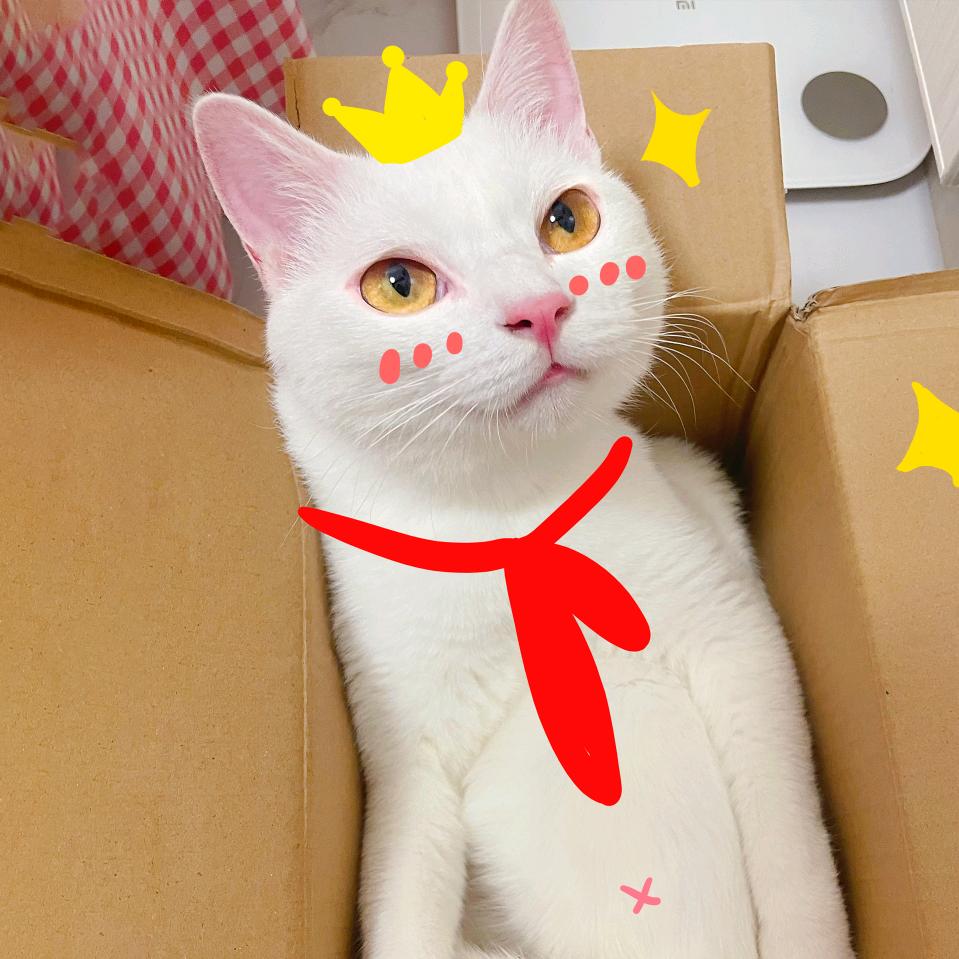 (｡･ω･｡)ﾉ♡美🌺🌸