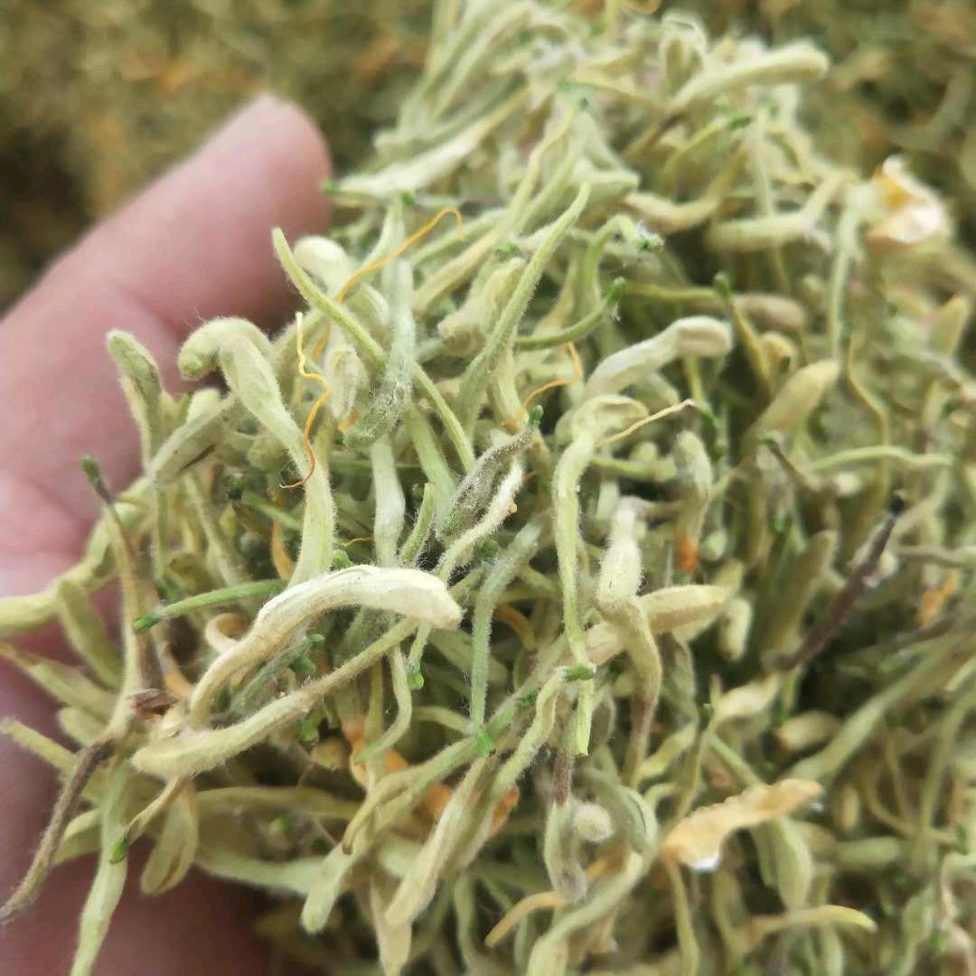 陕西商洛龙龙中药材合作社