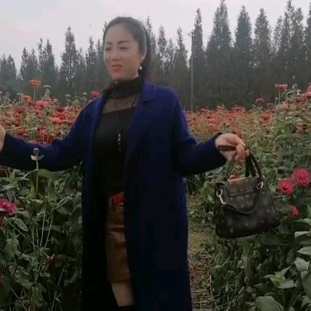 飞翔