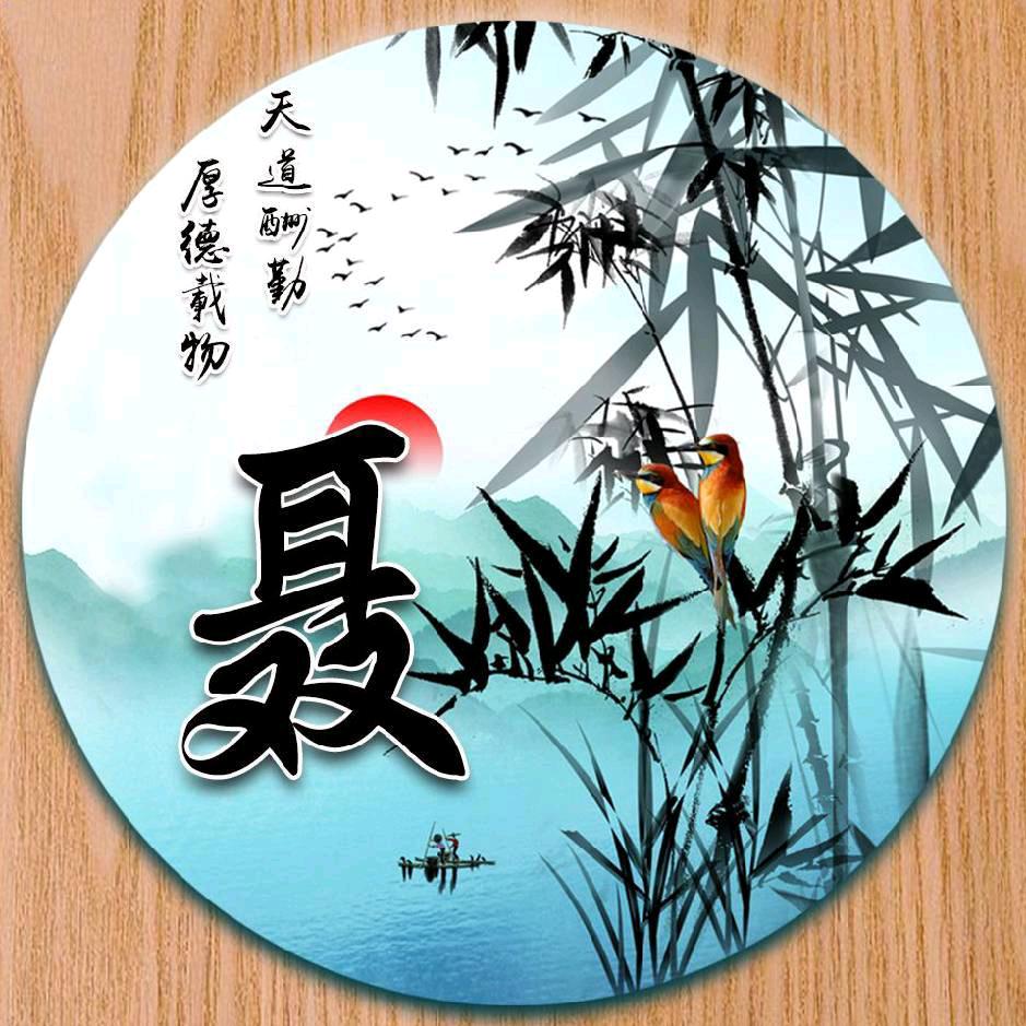 聂见未来