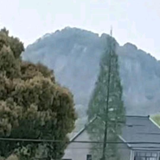 千采