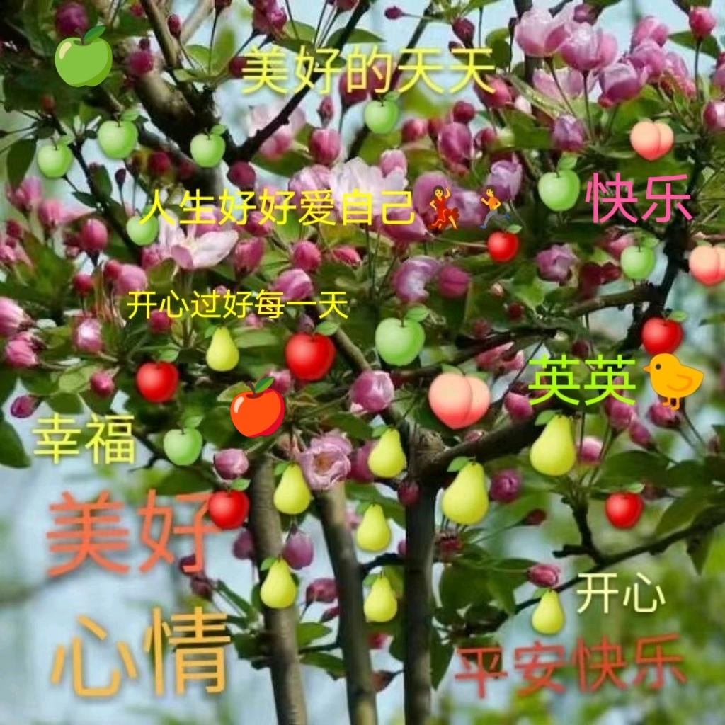 英英