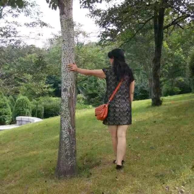 背影