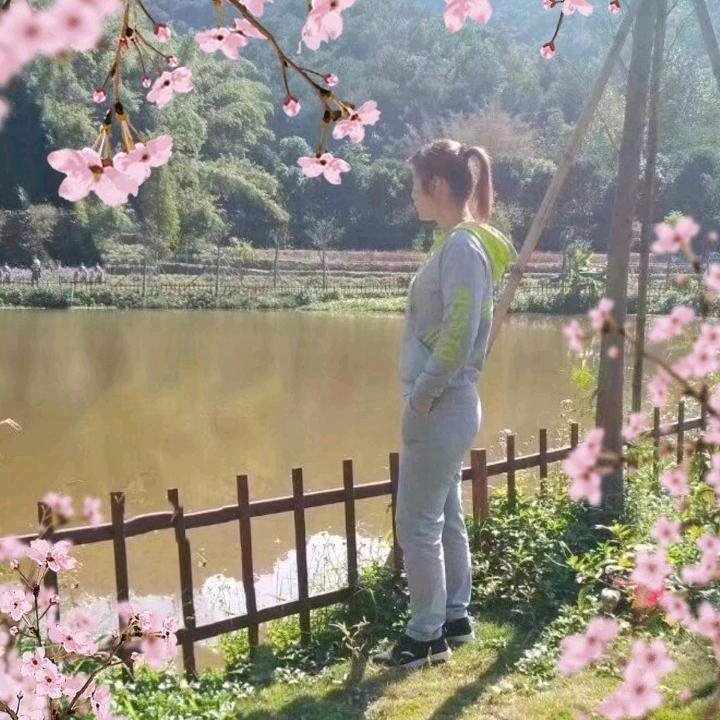 小樱书法🌸
