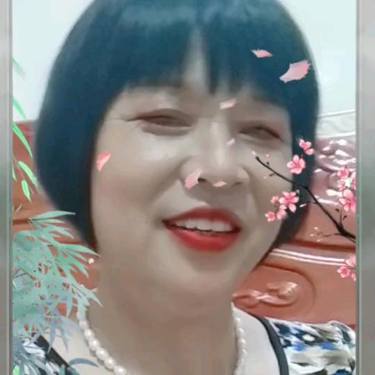 ㅤㅤㅤㅤㅤㅤㅤㅤㅤㅤ蜜蜂