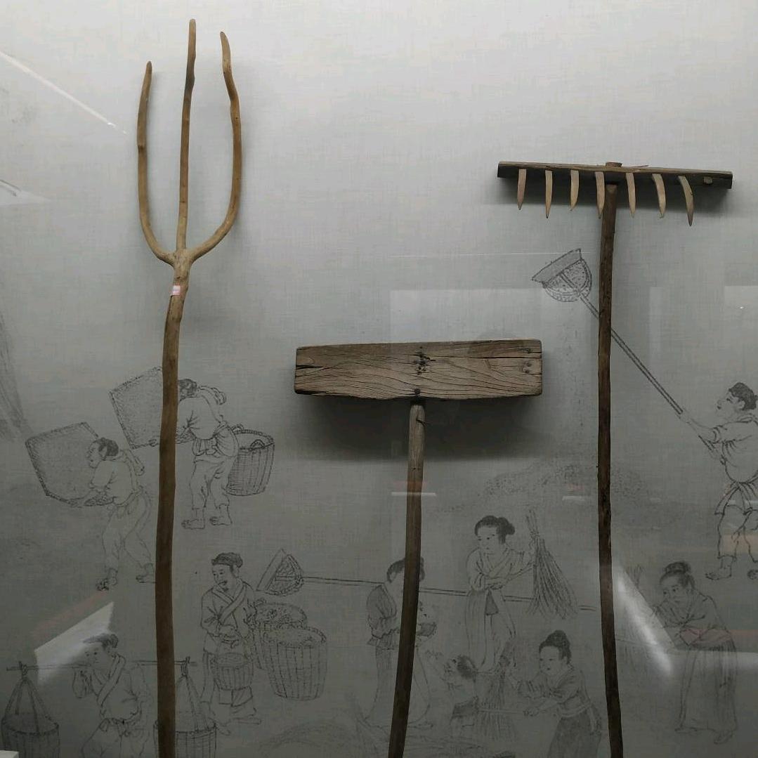 明玉向往的生活