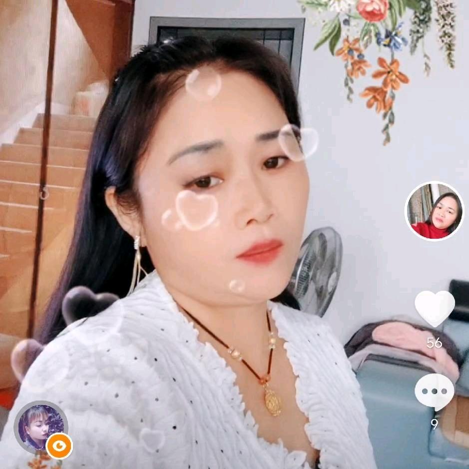 梦之蓝