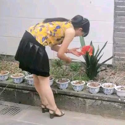 香飘飘