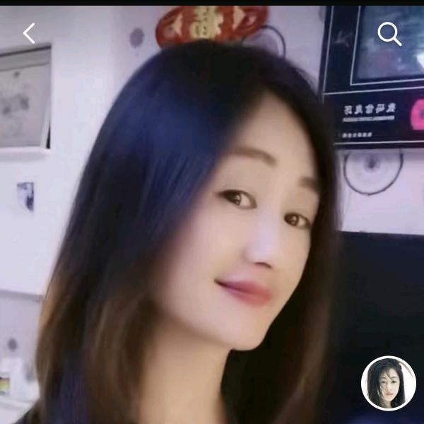 琴宝