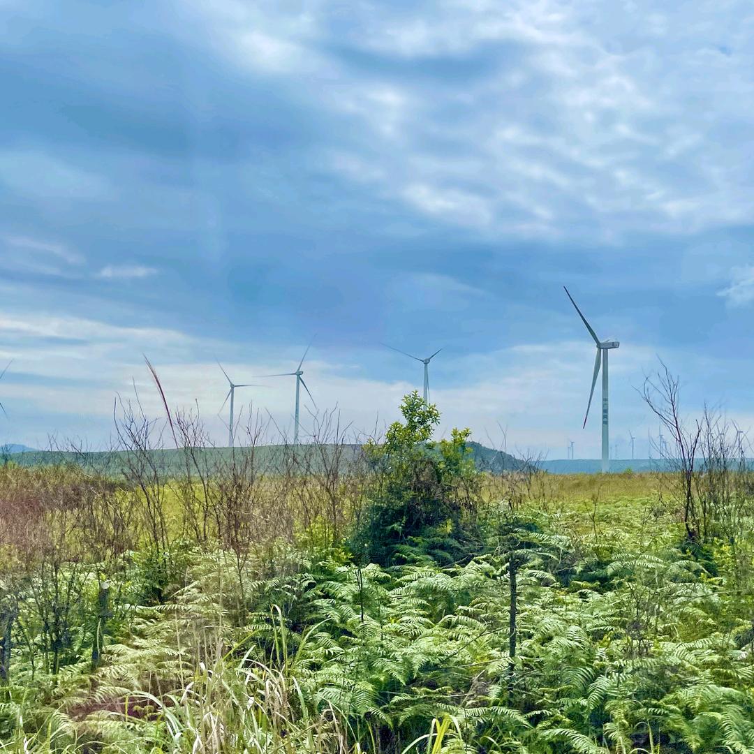 完美((拒绝私聊)