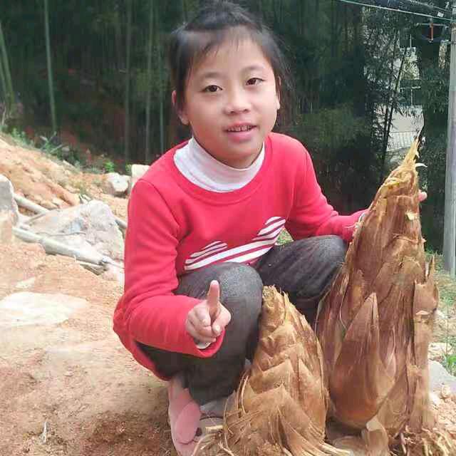 本地羊肉牛肉许多多好物