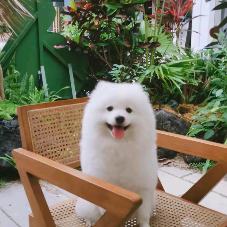 寂寞的少妇