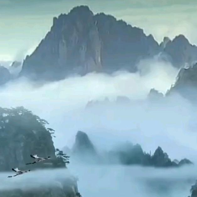 '殇痕(Ｔ▽Ｔ)伈刼