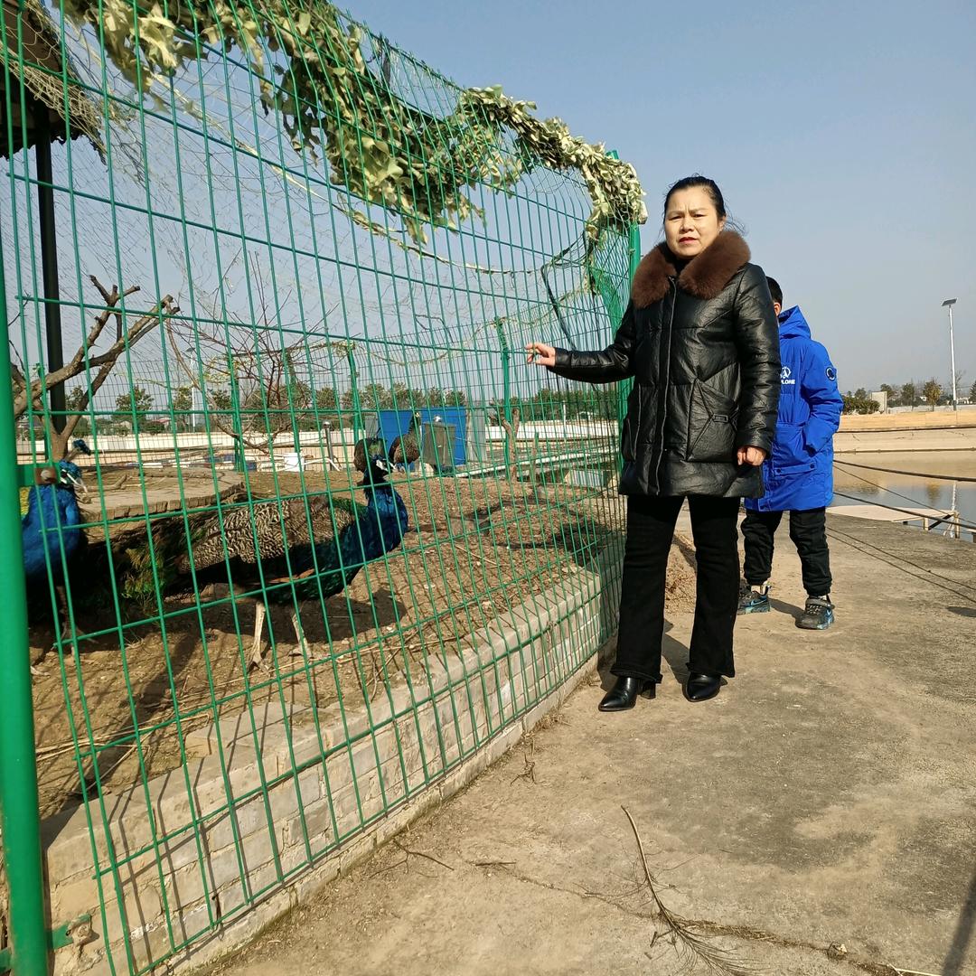 开心过好每一天@（殷姐）