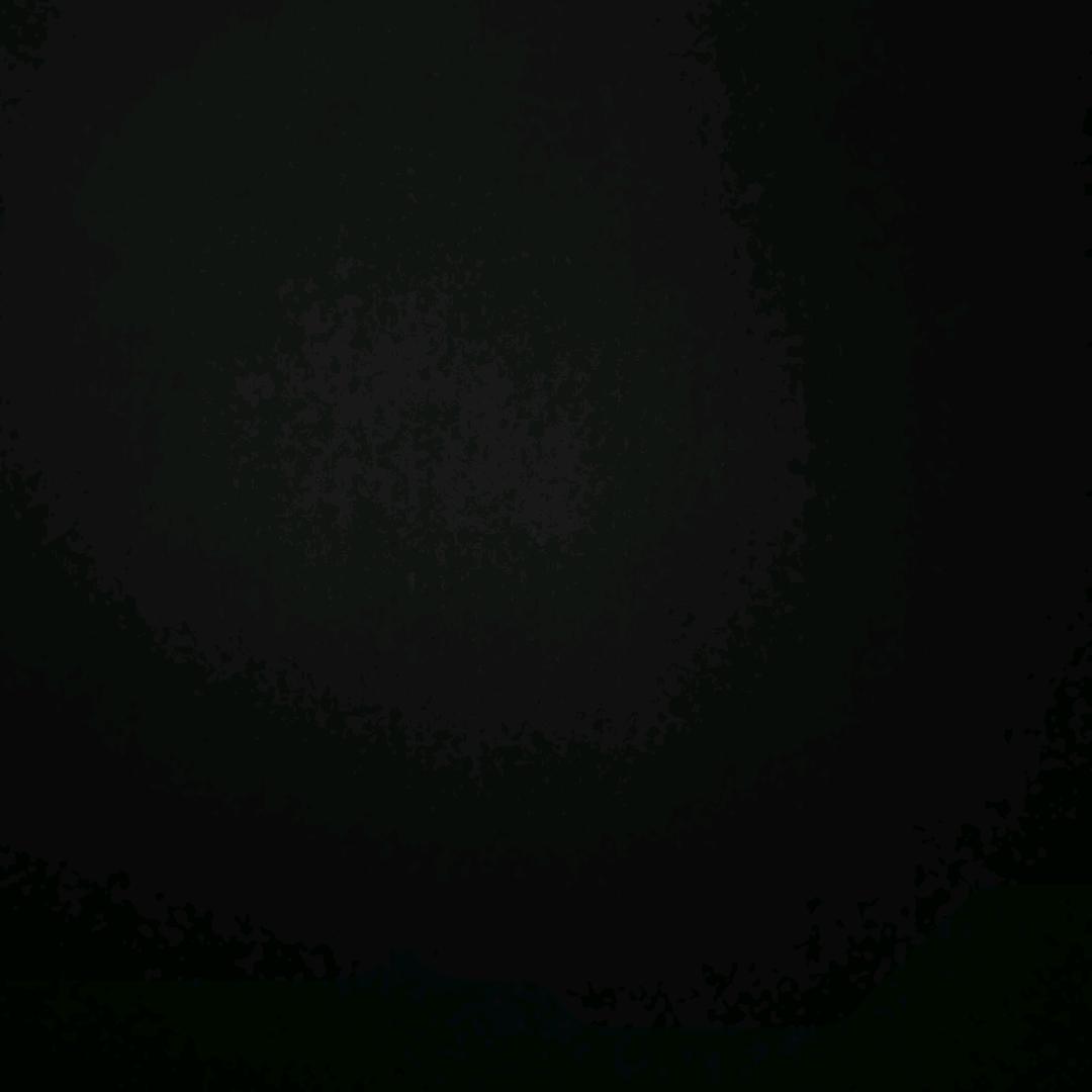 爱没有理由🐨³