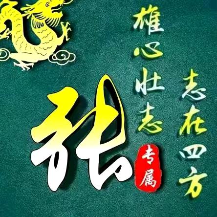 农村张家人