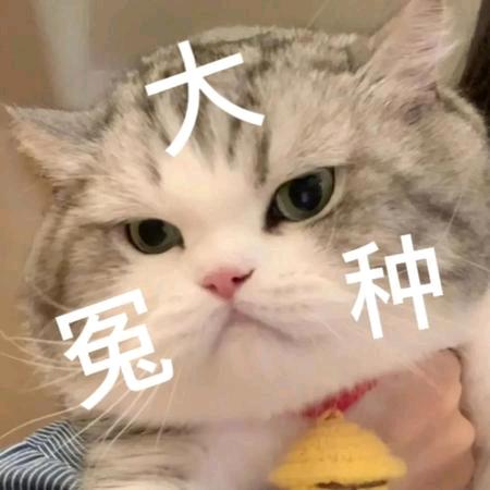 哈哈哈哈哈~头像
