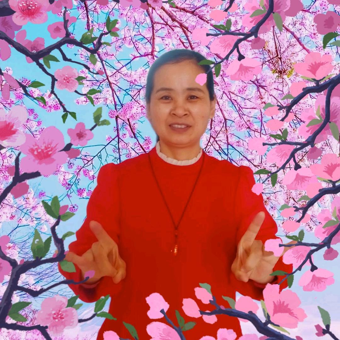李其玲