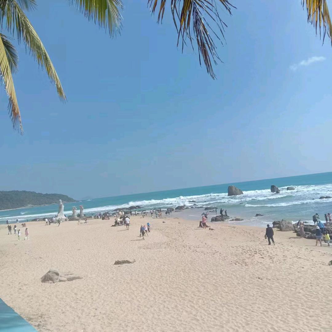 三年之约（阿三）