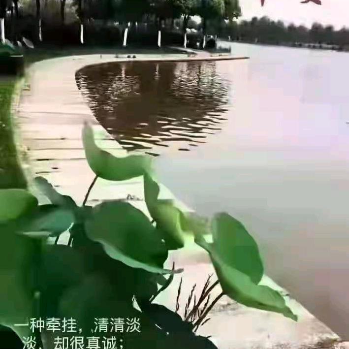 京通服务