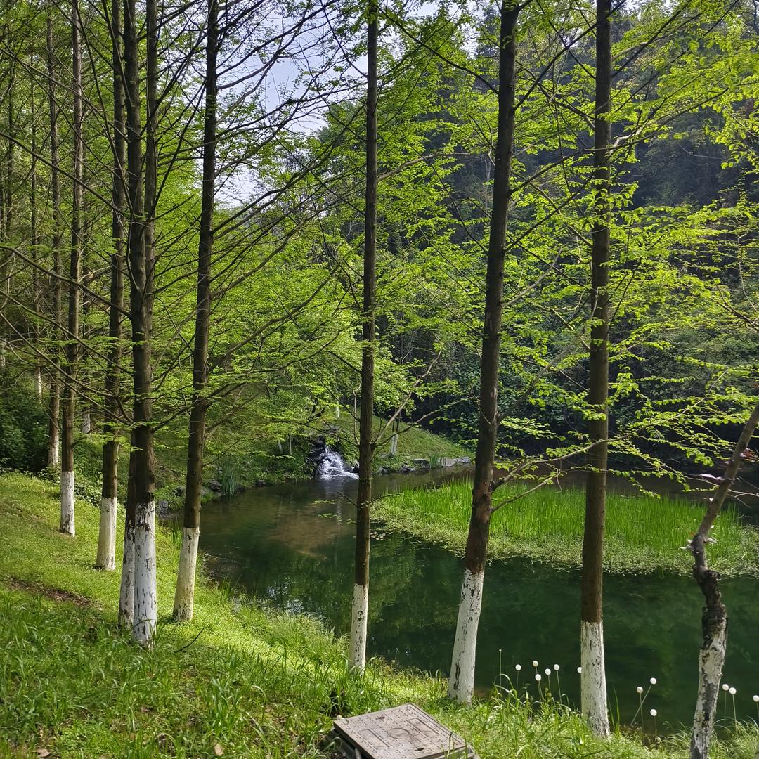 🌊走走停停看看