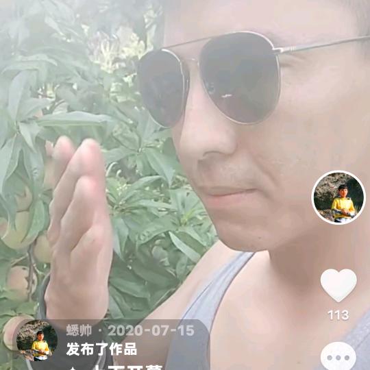 蟋帅