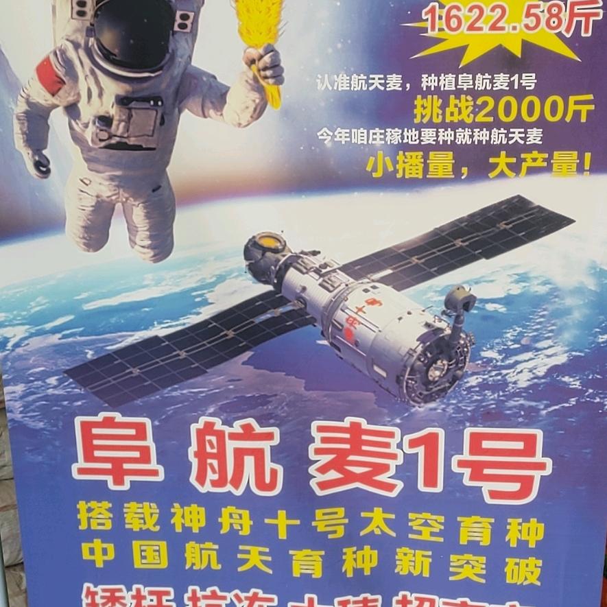 坦诚