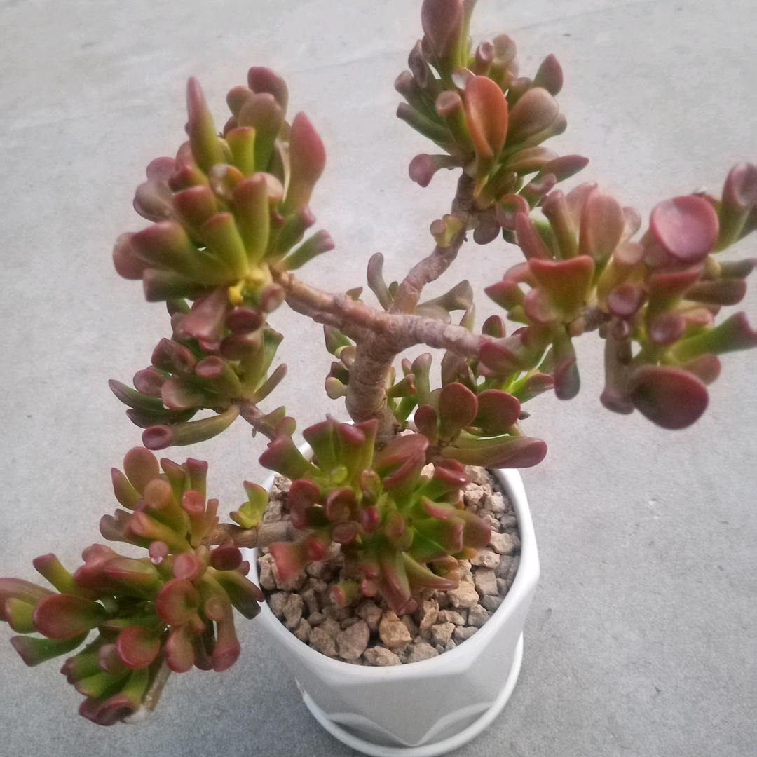 源头好物@