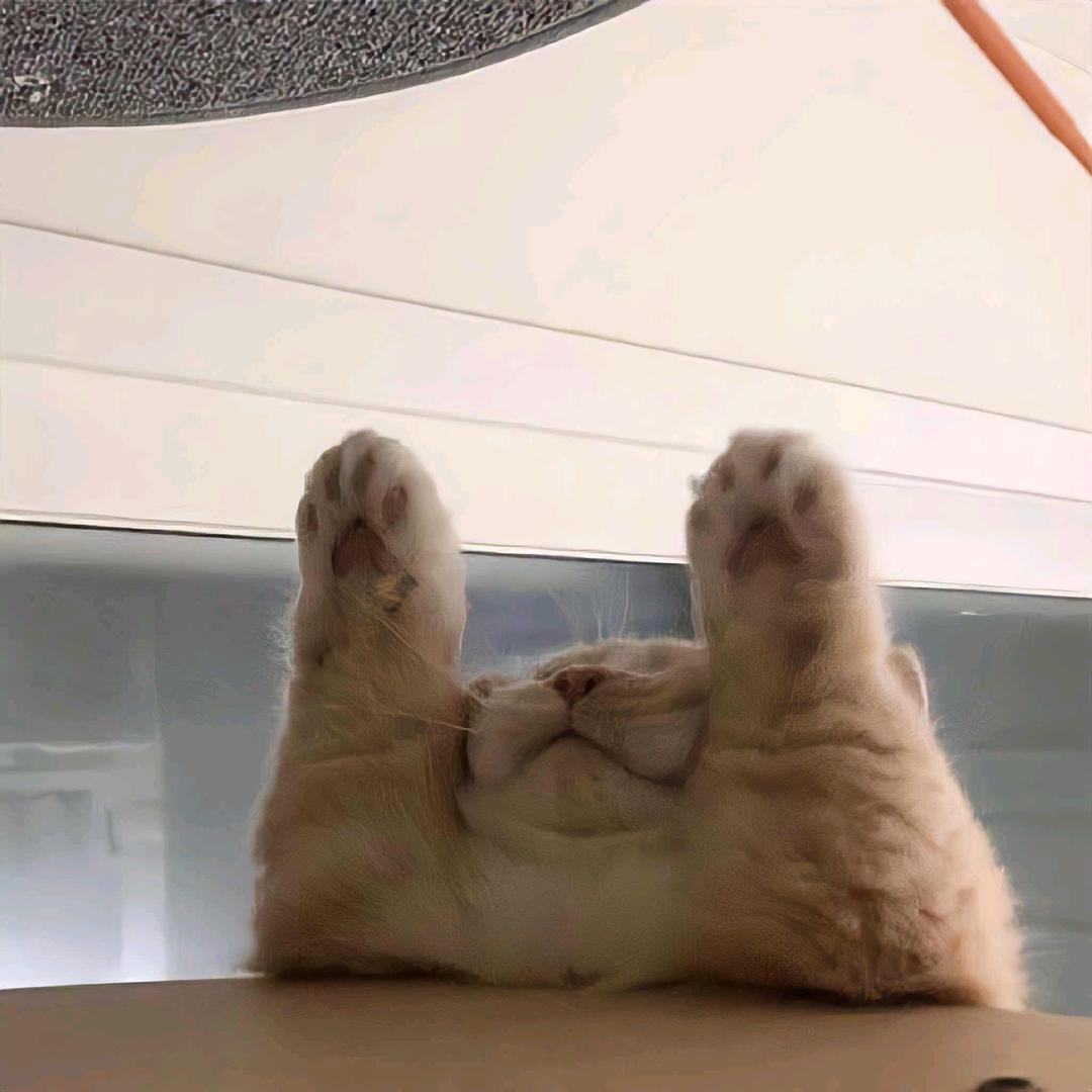 少废话