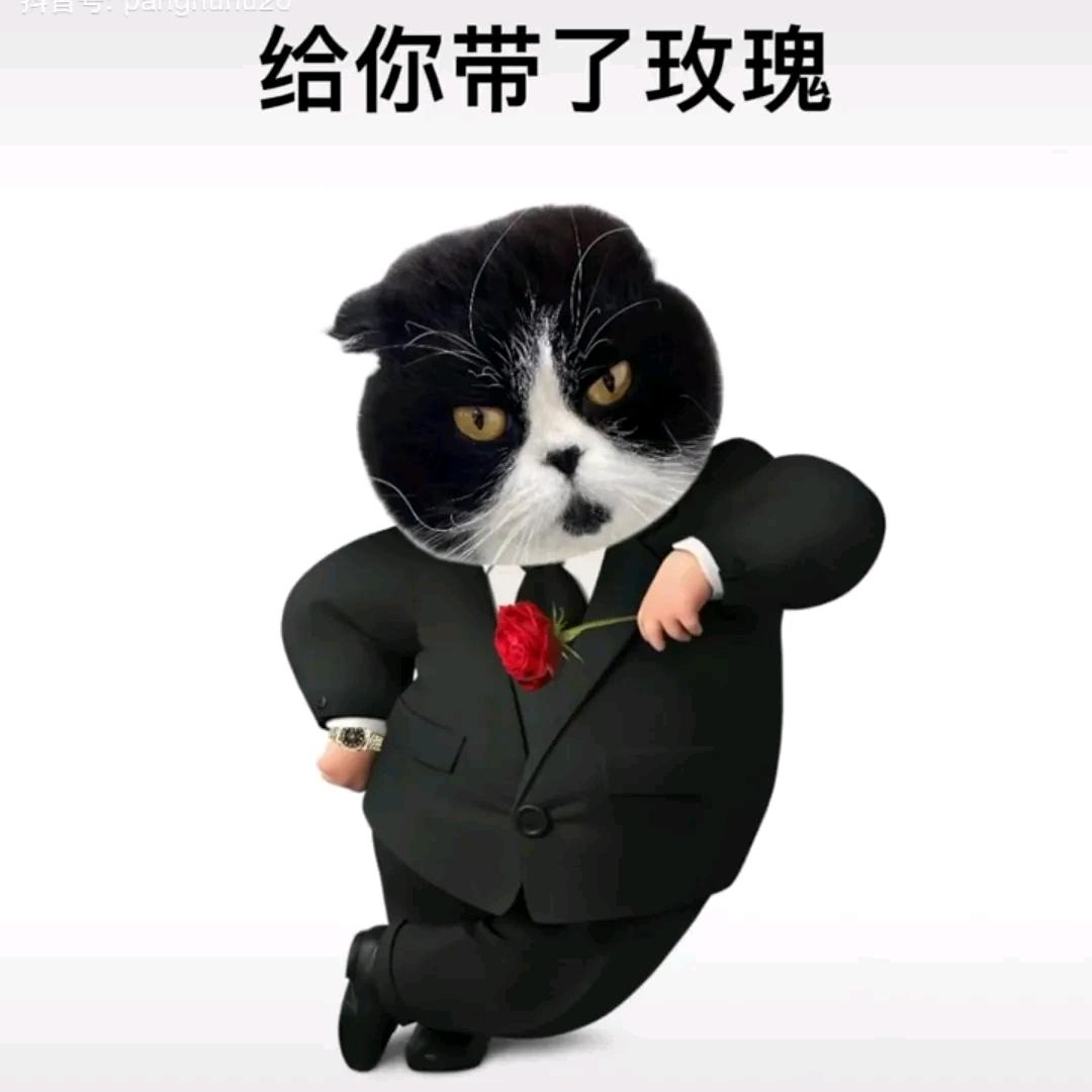 澜星