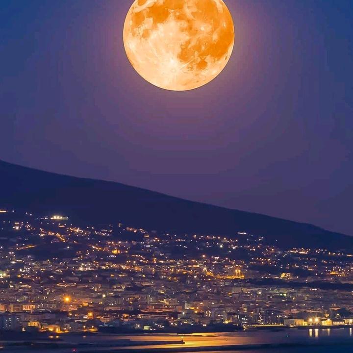 庆新凰凰山猪牛羊肉店